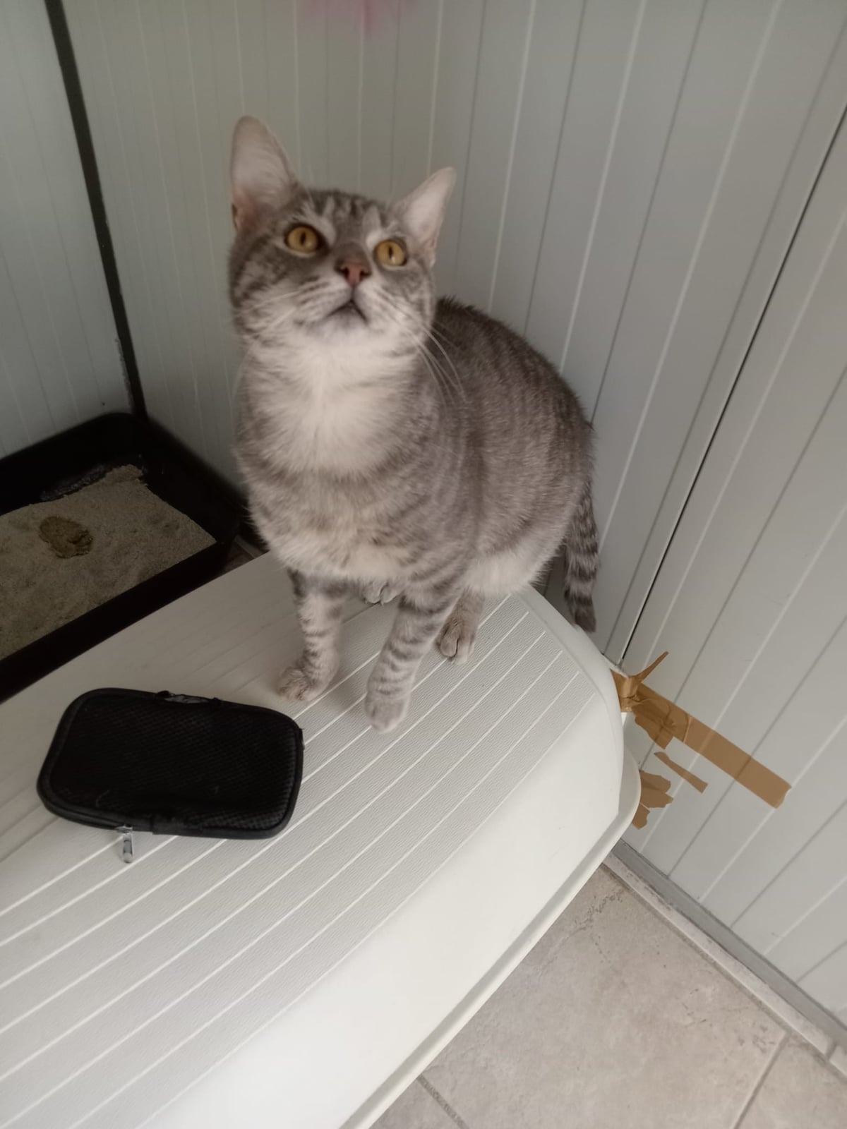 Choubert – photo 3