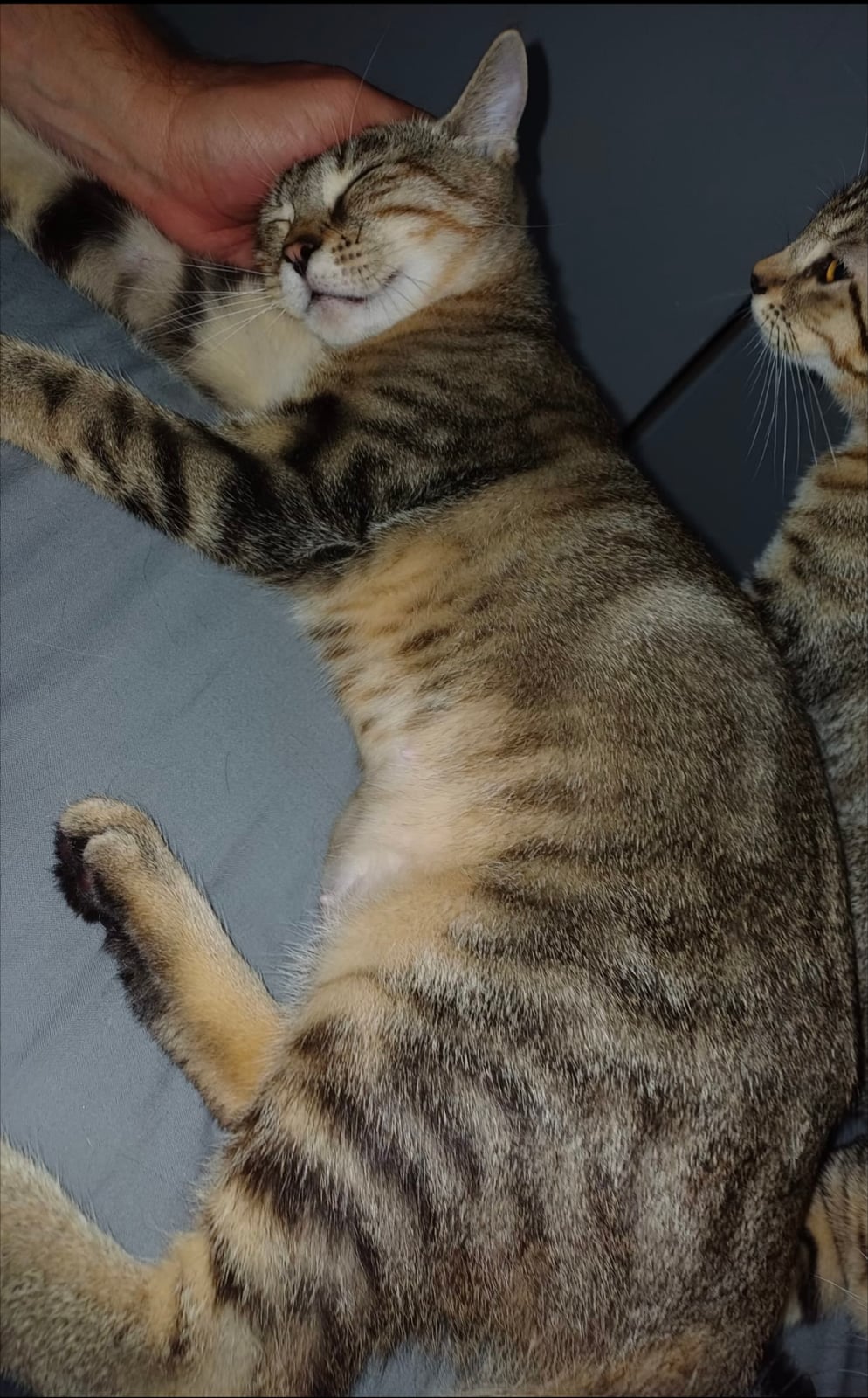 Boubouille – photo 3