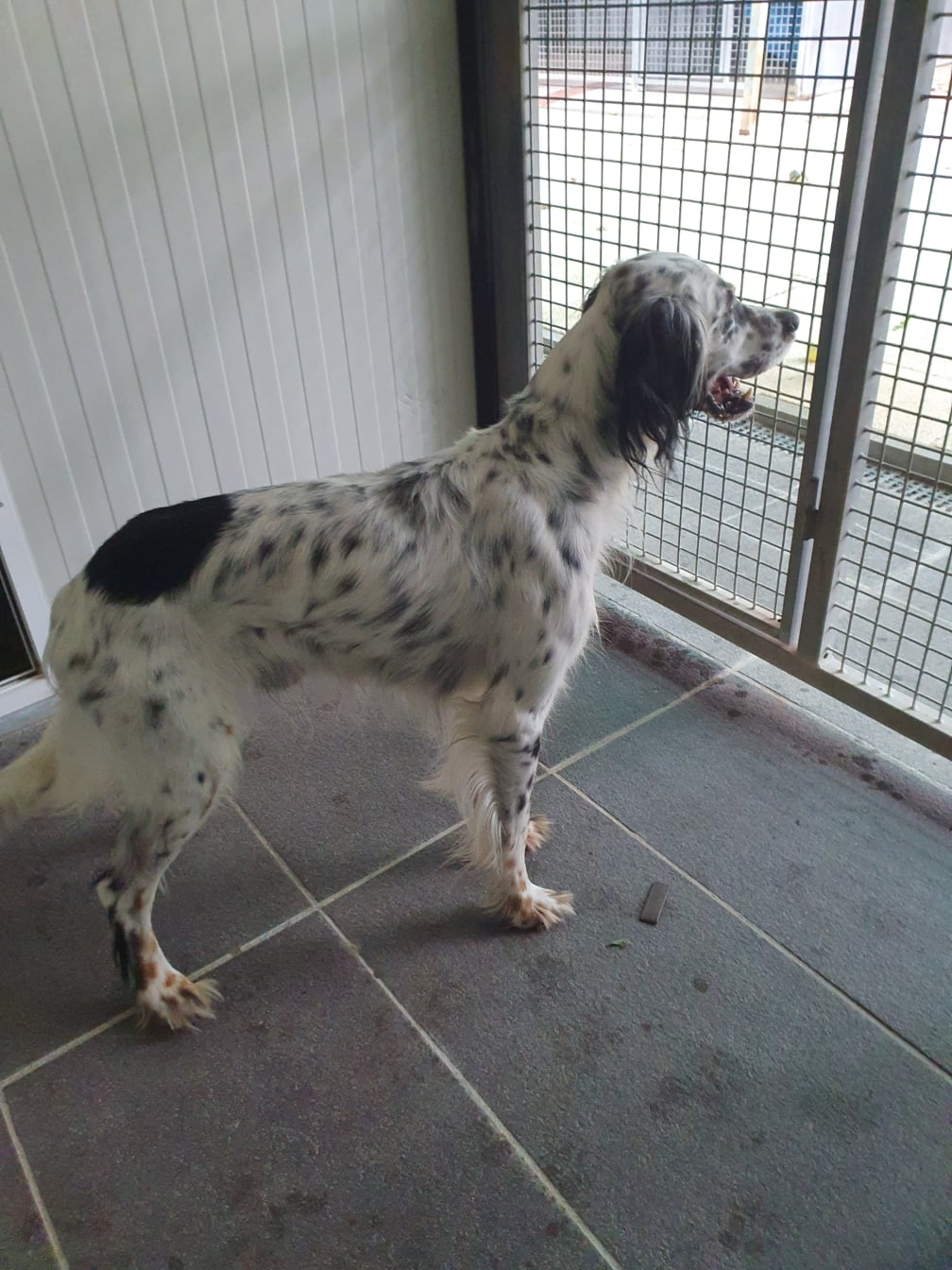 ROCKY – photo 2