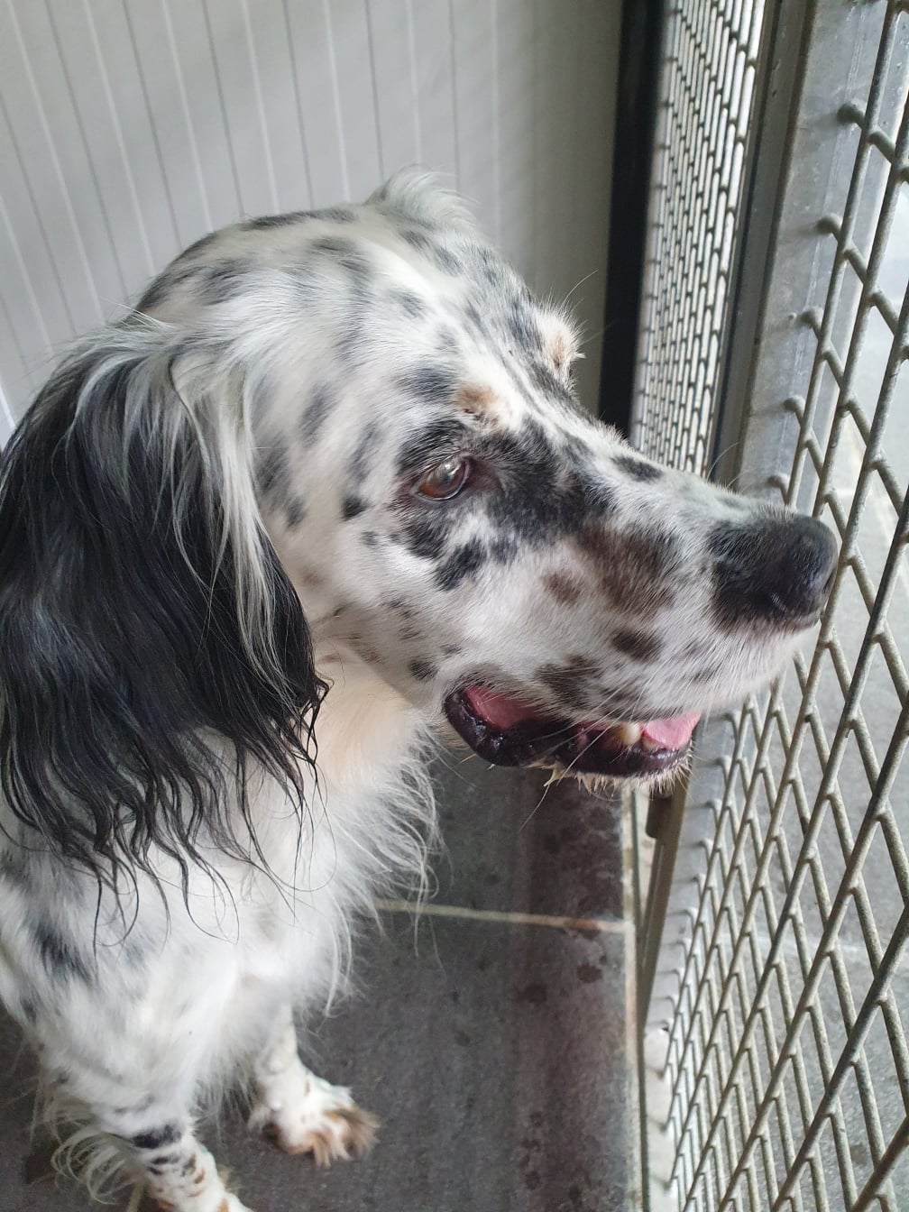 ROCKY – photo 3