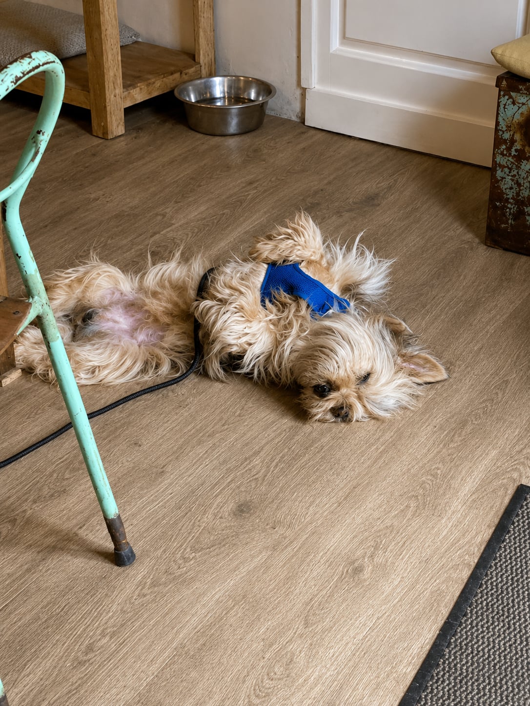 Ben – photo 5