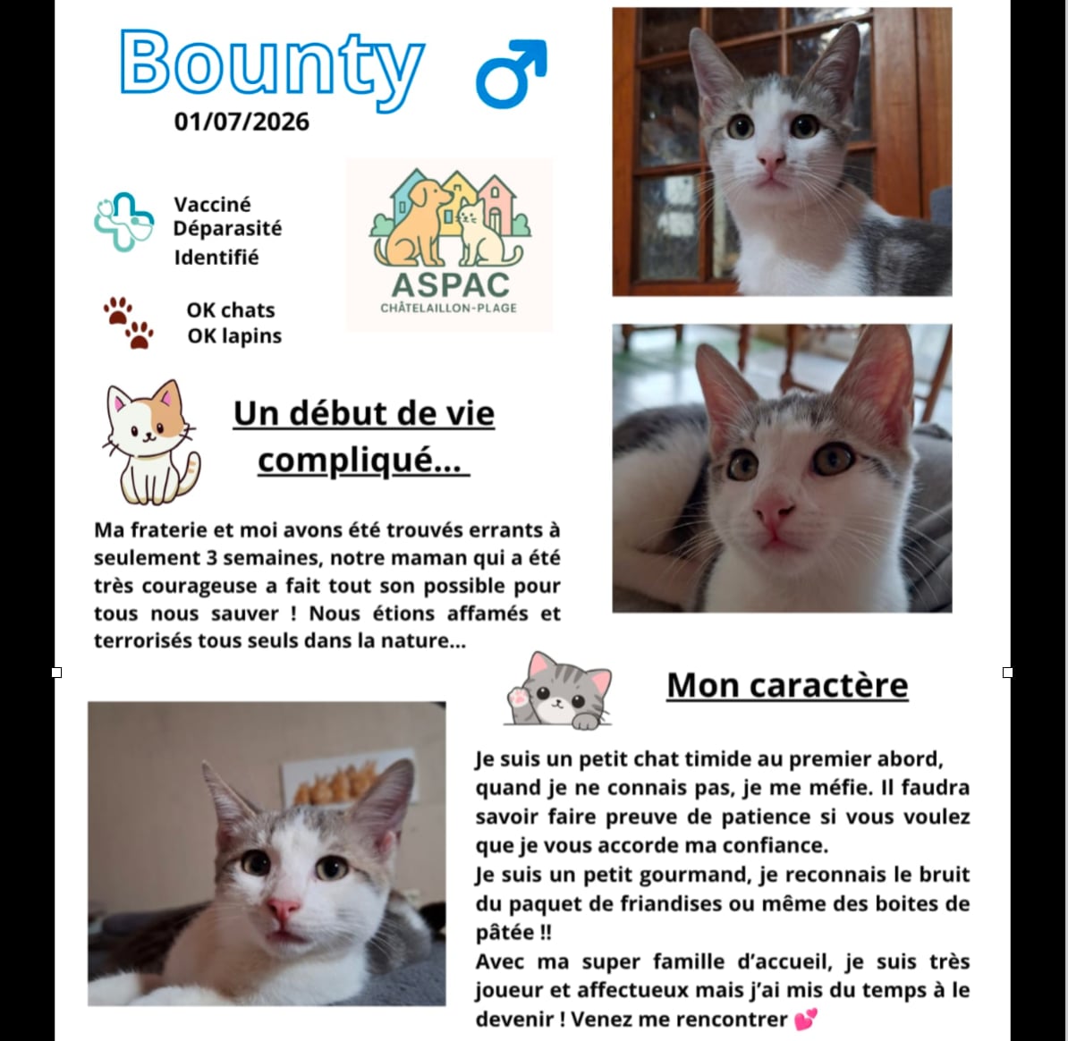BOUNTY