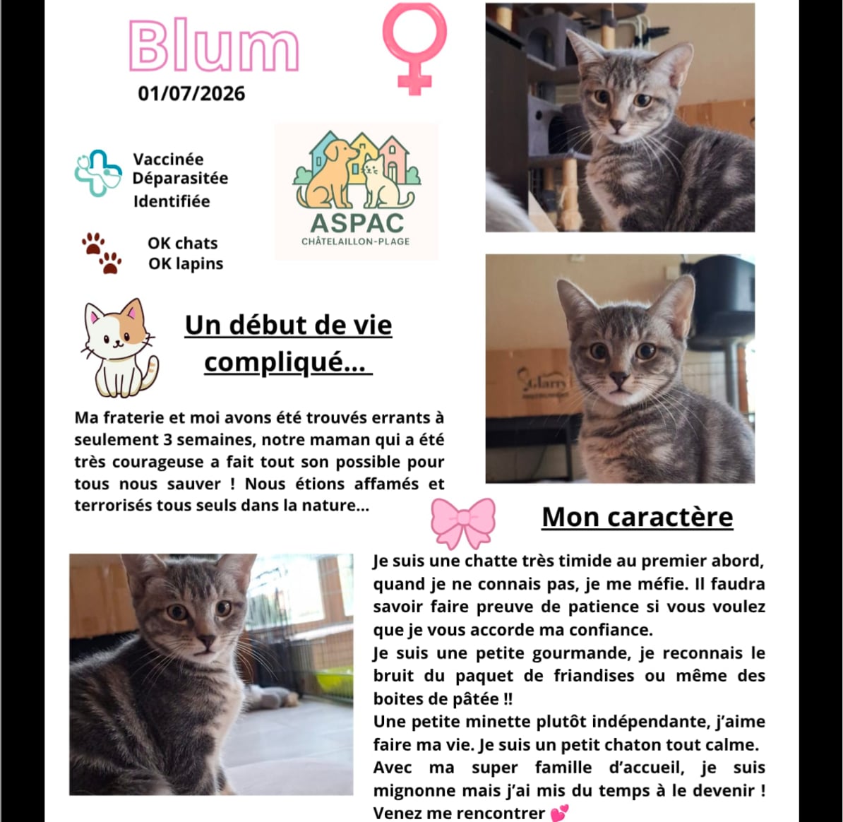 BLUM